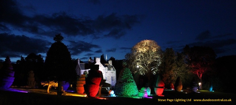 wedding outdoor lights